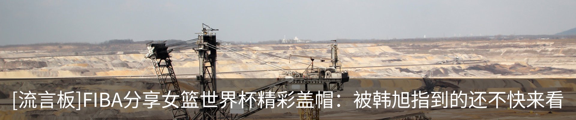 新闻动态